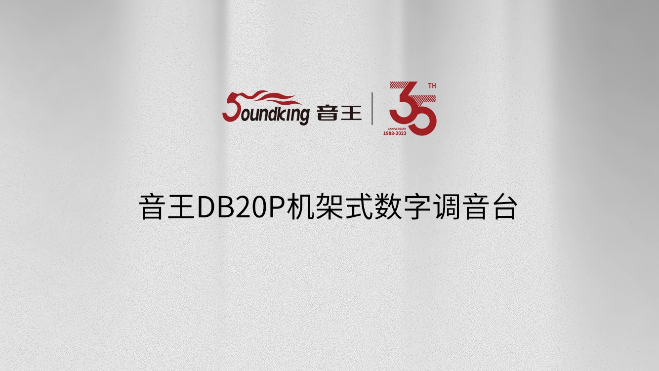 音王DB20P機架式數(shù)字調(diào)音臺