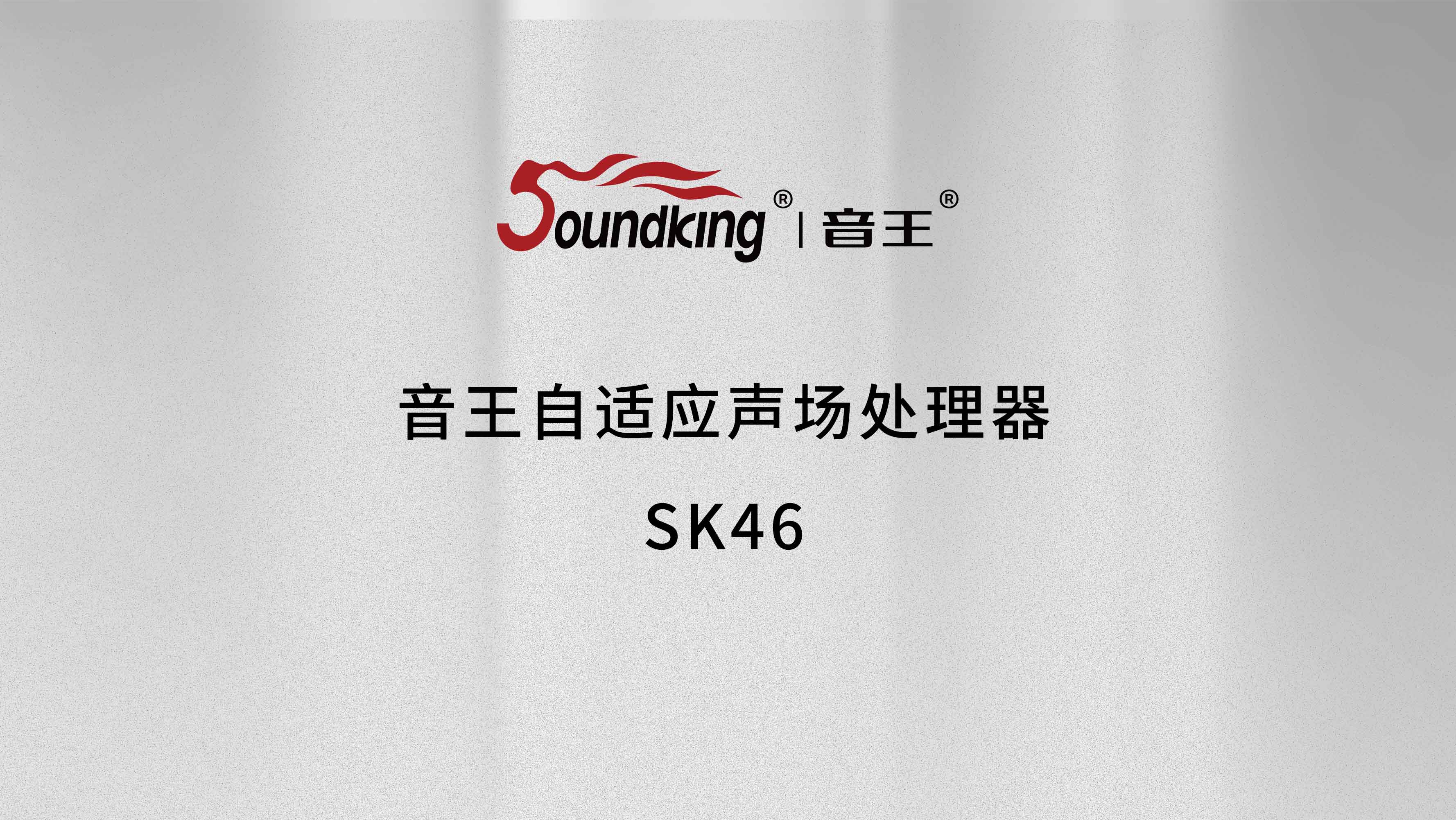 音王自適應聲場處理器SK46